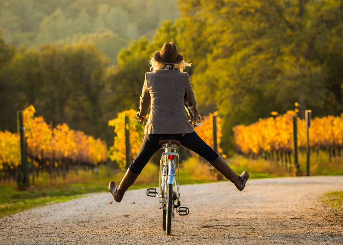 Person on bike enjoys a ride through fall colored orchard