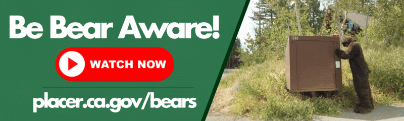 Be Bear Aware! Watch now at placer.ca.gov/bears