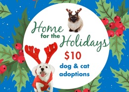 Home for the Holidays $10 dog and cat adoptions