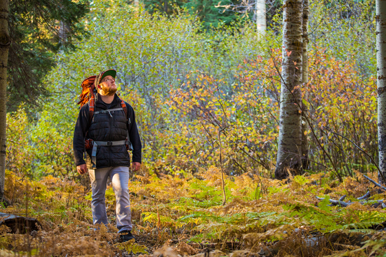 Man hiking through fall colored trail