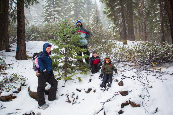 Family going Christmas tree hunting in Placer County