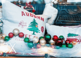Collection of holiday store decorations and displays in Placer County
