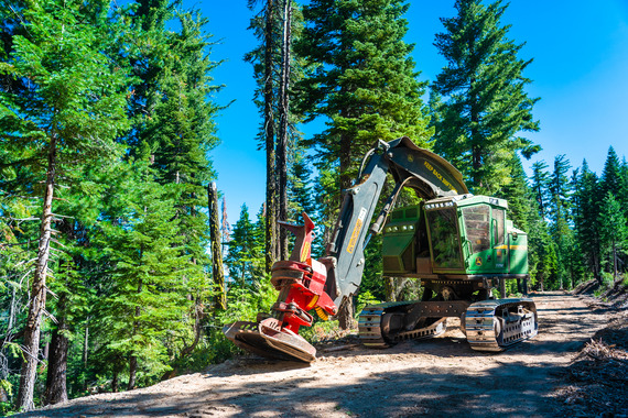 Excavator working in French Meadows