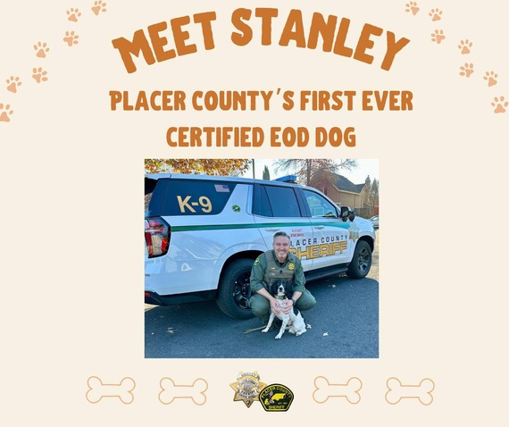 Meet Stanely