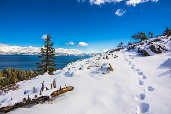 Trail of footprints in the Tahoe snow
