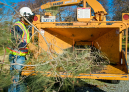 Crew member uses a chipper to clear vegetation