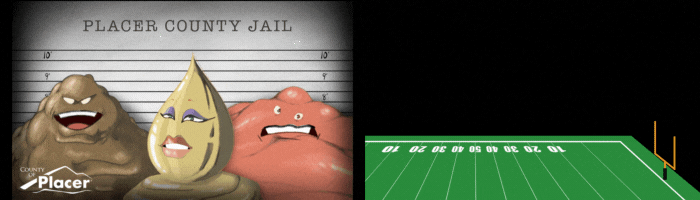 Don't let fats, oils or grease cause unnecessary roughness to pipes. Tap here to tackle the usual suspects for the win.