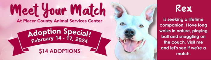 Meet your match at Placer County Animal Services Center. Adoption Special February 14 through 17. $14 adoptions