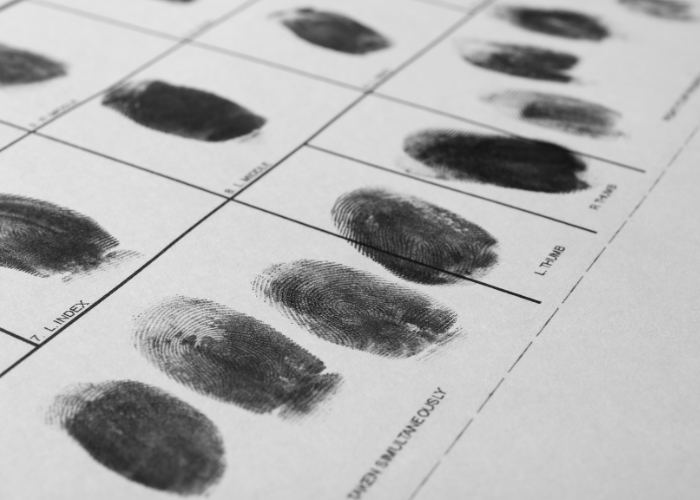 Close-up view of inked fingerprints on paper