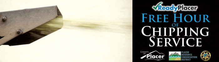 ReadyPlacer. Free hour of chipping service