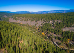 Aerial view of a hillside in the French Meadows Reservoir