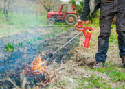 prescribed burn on a farm orchard