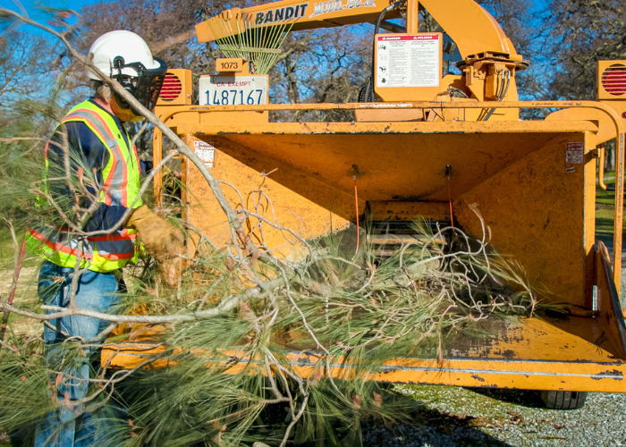 Man standing at wood chipper