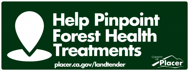 Motion graphic with text reading Help Pinpoint Forest Health Treatments inviting residents to participate in planning forest health projects
