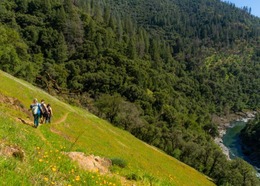 Springtime in Placer - a photo of hikers on a trail near California Poppies