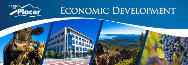 economic development header