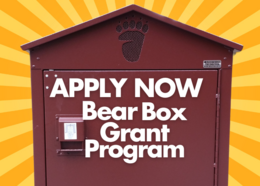 apply now for the bear box grant program