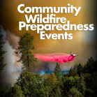Wild Fire events