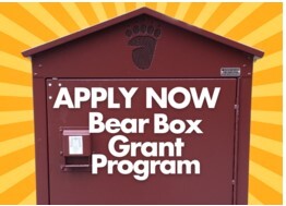 Bear Box