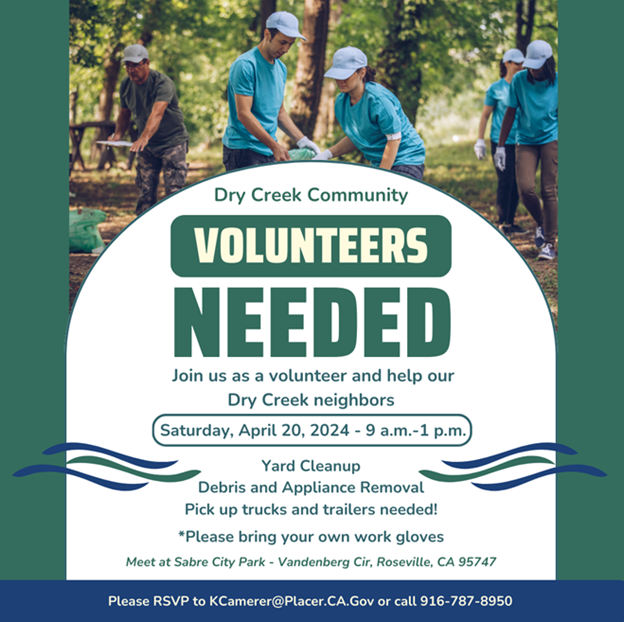 Dry Creek Clean Up