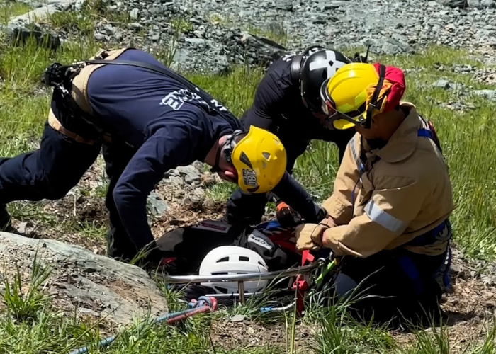 TRT regional training image