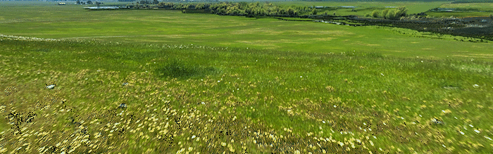 drone gif of green grass to sky