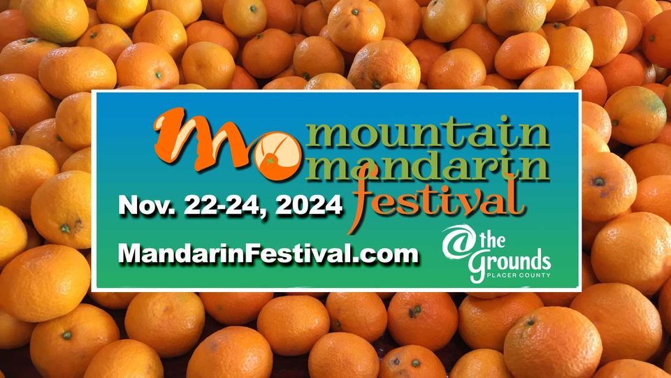 Mountain Mandarin 2024