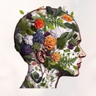 Placer for mental health 