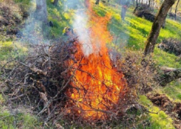 pile of sticks burning