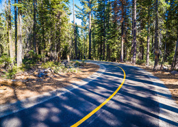 Road in the woods image