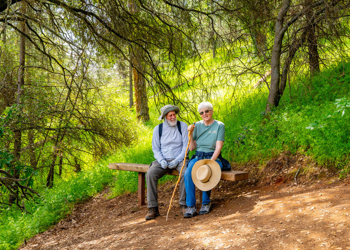 couple sitting on a bench at hidden falls regional park