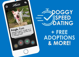 Graphic of mobile phone displaying happy dog