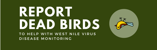 Report Dead Birds