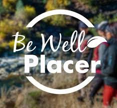 be well placer