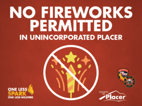 No Fireworks Sign
