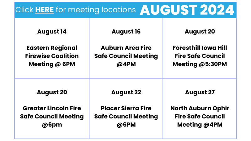 AUGUST EVENTS