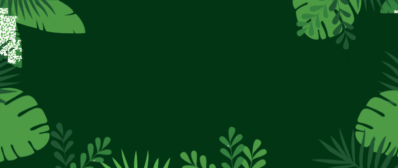 A banner showcasing our photo gallery of the library's "Wild Things" event