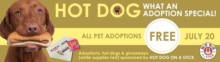 Adopt a Pet - Hot dog adoption event 2024