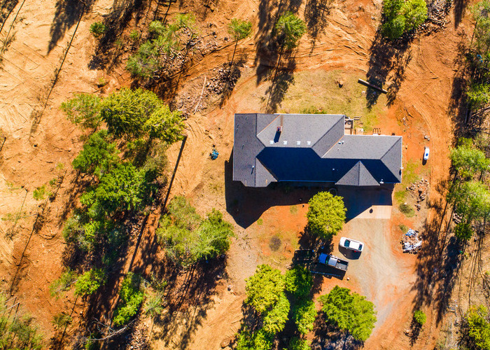Forest Hill Tree Devastation Drone 