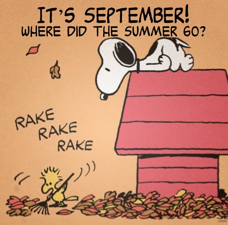 Peanuts September