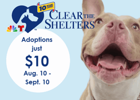 $10 dog adoptions Aug 10 - Sept 10