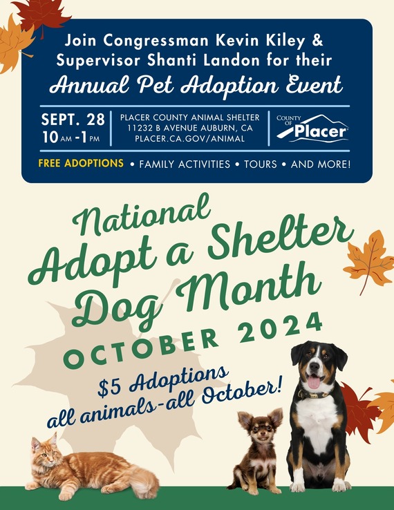 Pet Adoption Flyer