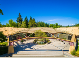 Charter Review Committee