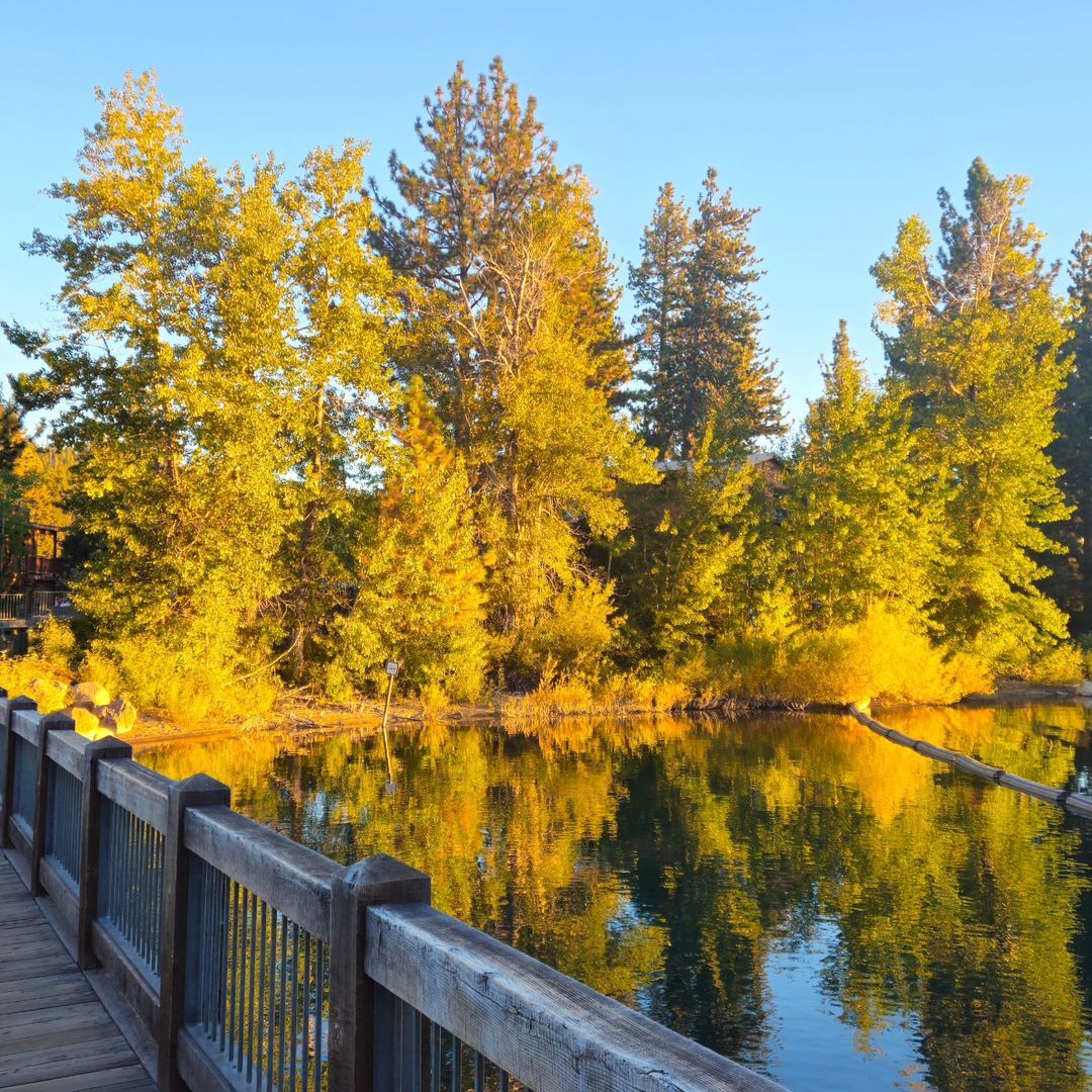 Photo of the Week - Tahoe City leaves