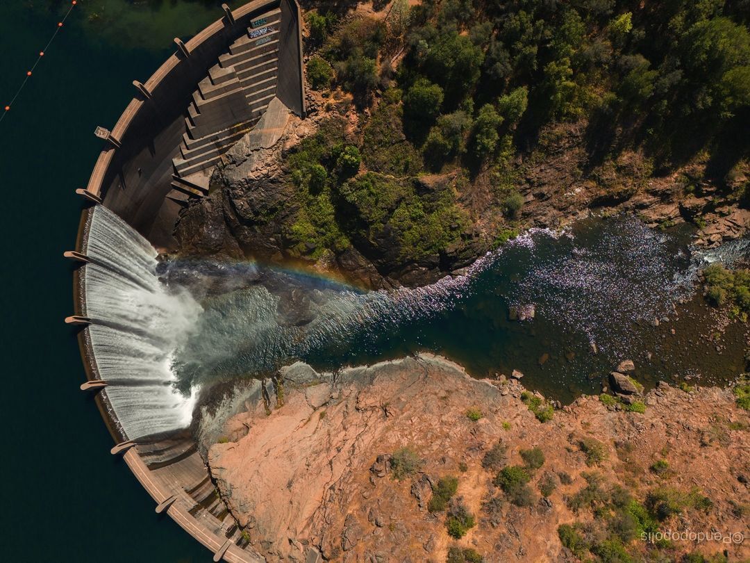 Photo of the Week for Sept. 26, 2024