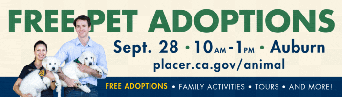 Free pet adoptions Sept 28