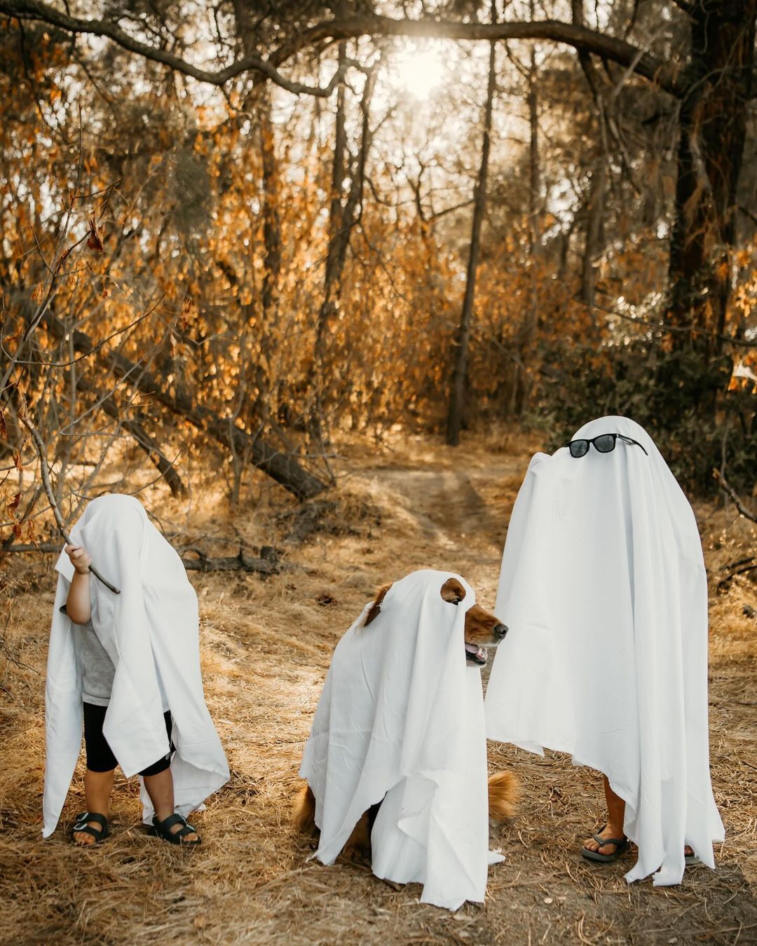 A family dressed up as ghosts 