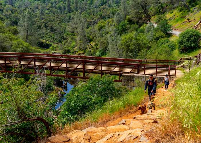 A couple hiking up a dirt trail with two dogs on leash with a pedestrian bridge and wooded oak land in the background 