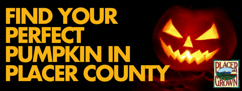 a glowing jack-o-lantern with text, find your perfect pumpkin in Placer County 