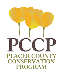 pccp 2